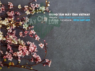 ch__bao_hanh_khi_tim_laptop_cu_ha_ni.